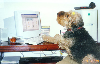 Photo of Designer 42 Kb